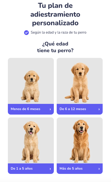 Quiz de entrada de una oferta DFY: plan de adiestramiento según la edad del perro